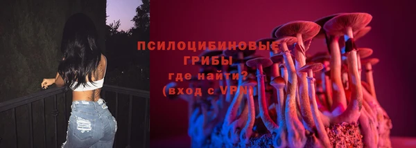 прущий лед Алексеевка