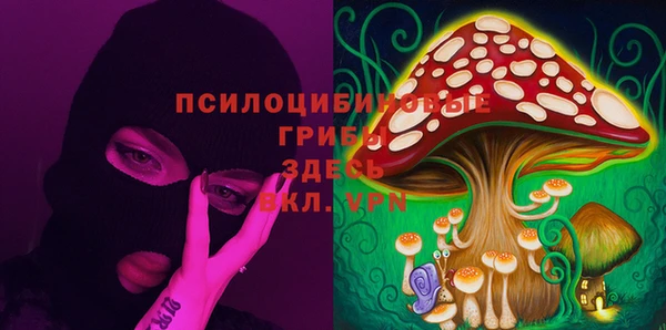 прущий лед Алексеевка