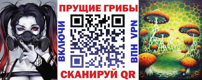 omg вход  Сольвычегодск  Галлюциногенные грибы мицелий  купить наркоту 