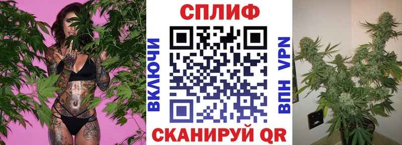 Конопля марихуана Сольвычегодск
